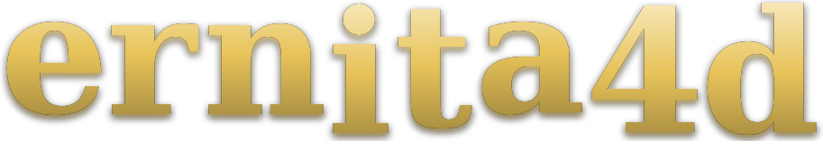 ernita4d logo